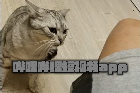 2018-12-21 11-29-52.png