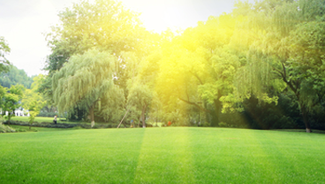 2018-5-21 18-34-59.png