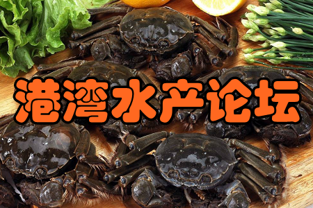 港湾水产论坛(水产养殖) 港湾水产论坛(水产养殖)