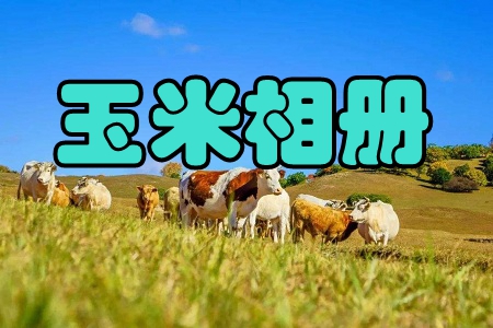 玉米相册(分享美好生活)app 玉米相册(分享美好生活)app