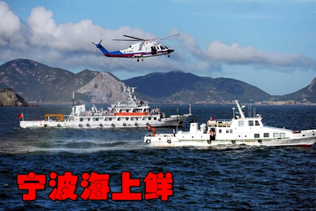 ����������app(�洬����)