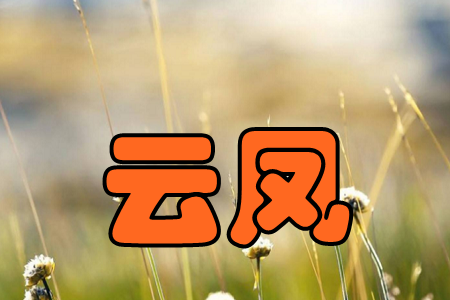 云凤(工作安排) 云凤(工作安排)