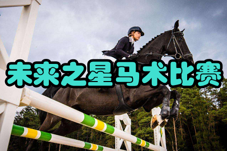 未来之星马术比赛手机版