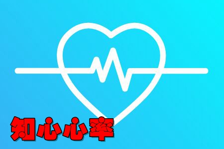 知心心率app(心率健康服务) 知心心率app(心率健康服务)