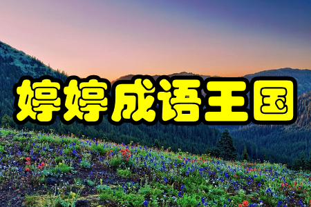 婷婷成语王国app