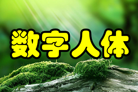 数字人体(健康数据管理)